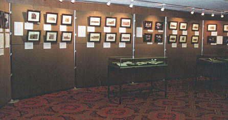 At Mitchell Library, Glasgow